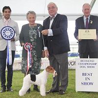 Richmond Dog Show Society - General Championship Dog Show (Established