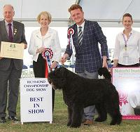 richmond championship dog show