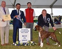 Best in Show 2019