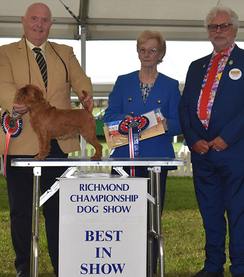 RICHMOND CHAMPIONSHIP DOG SHOW